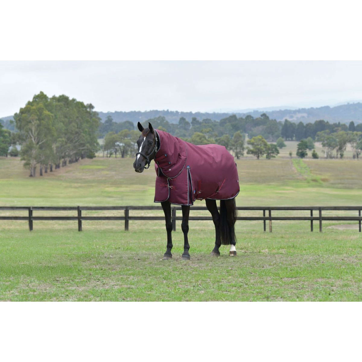 Weatherbeeta Comfitec Essential Turnout Detach-A-Neck 220 g Borgogna/Marina