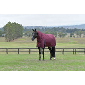 Weatherbeeta Comfitec Essential Turnout Detach-A-Neck 220 g Borgogna/Marina