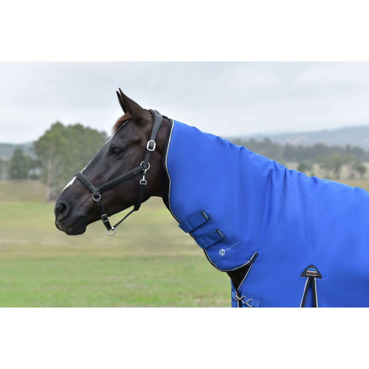 Weatherbeeta Comfitec Essential Turnout Combo 220 g Cobalto/Nero