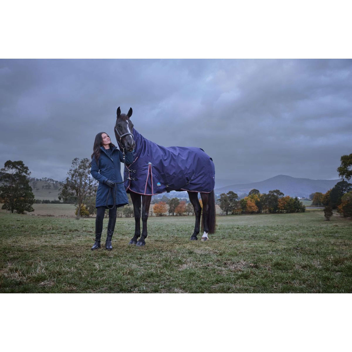 Weatherbeeta Comfitec Essential Turnout Combo 220 g Navy/Burgundy