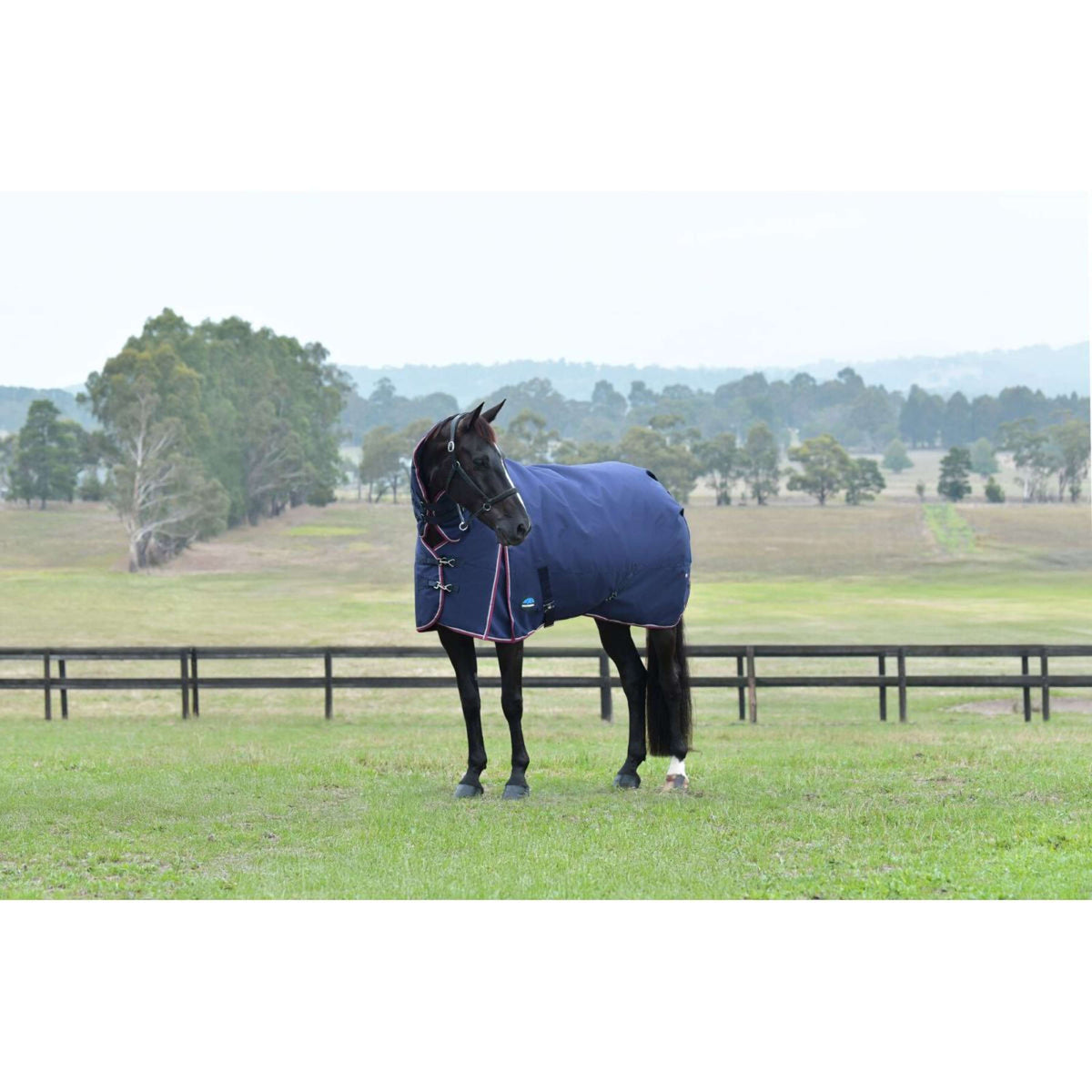 Weatherbeeta Comfitec Essential Turnout Combo 220 g Navy/Burgundy