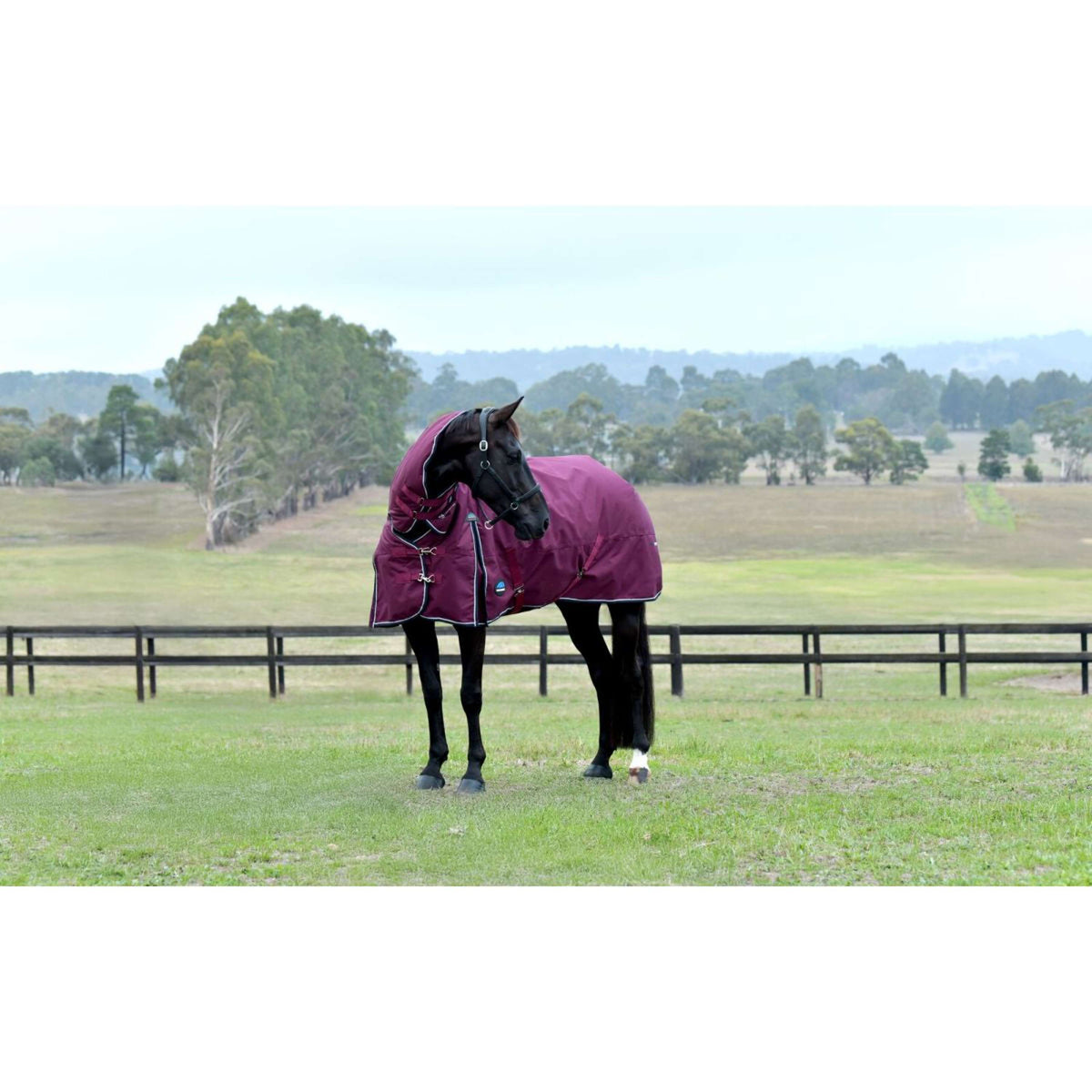 Weatherbeeta Comfitec Essential Turnout Combo 50 g Borgogna/Marina
