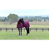 Weatherbeeta Comfitec Essential Turnout Combo 50 g Borgogna/Marina