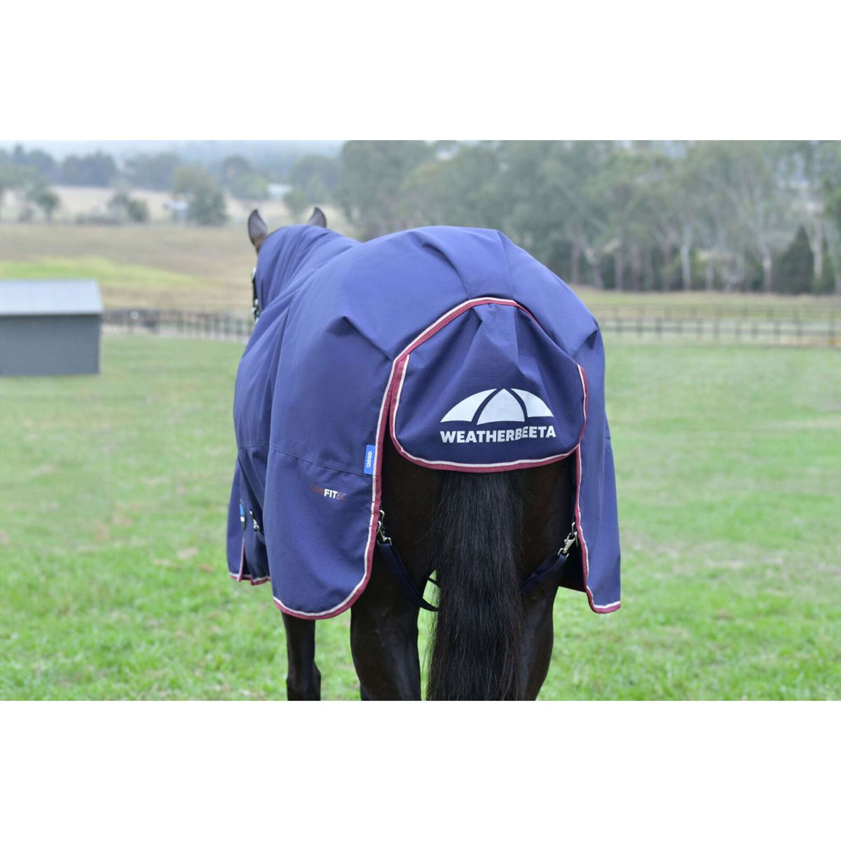 Weatherbeeta Comfitec Essential Turnout Combo 50 g Navy/Burgundy