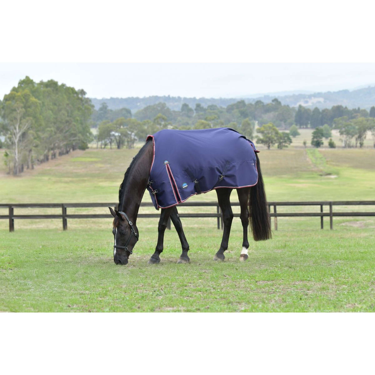 Weatherbeeta Comfitec Essential Turnout 0g Navy/Burgundy