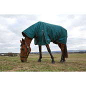 Weatherbeeta Comfitec Classic Turnout Combo 220 g Forest Green/Black