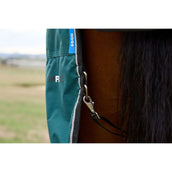 Weatherbeeta Comfitec Classic Turnout Combo 220 g Forest Green/Black