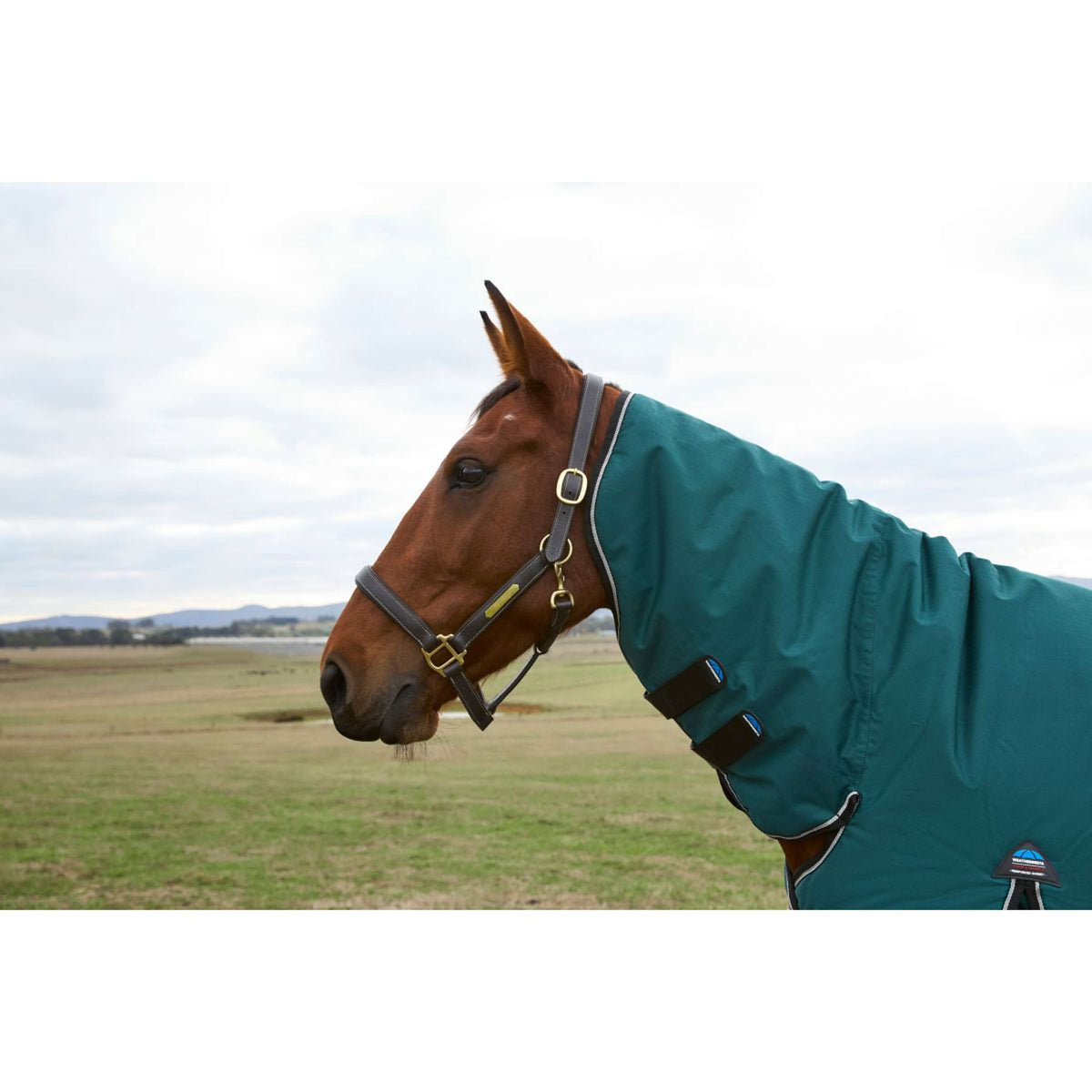Weatherbeeta Comfitec Classic Turnout Combo 220 g Forest Green/Black