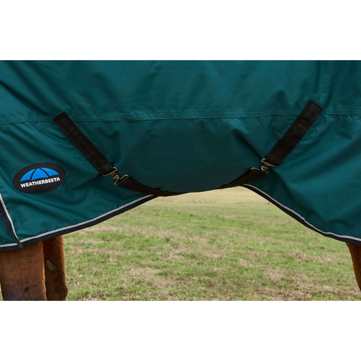 Weatherbeeta Comfitec Classic Turnout Combo 220 g Forest Green/Black