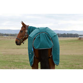 Weatherbeeta Comfitec Classic Turnout Combo 220 g Forest Green/Black