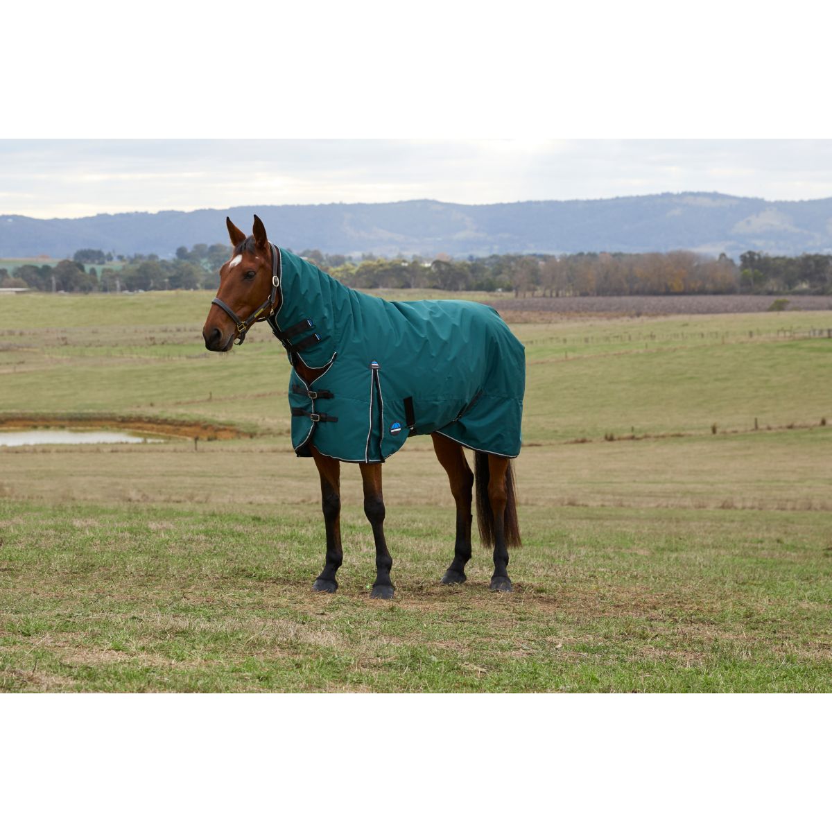 Weatherbeeta Comfitec Classic Turnout Combo 220 g Forest Green/Black
