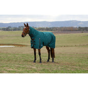 Weatherbeeta Comfitec Classic Turnout Combo 220 g Forest Green/Black