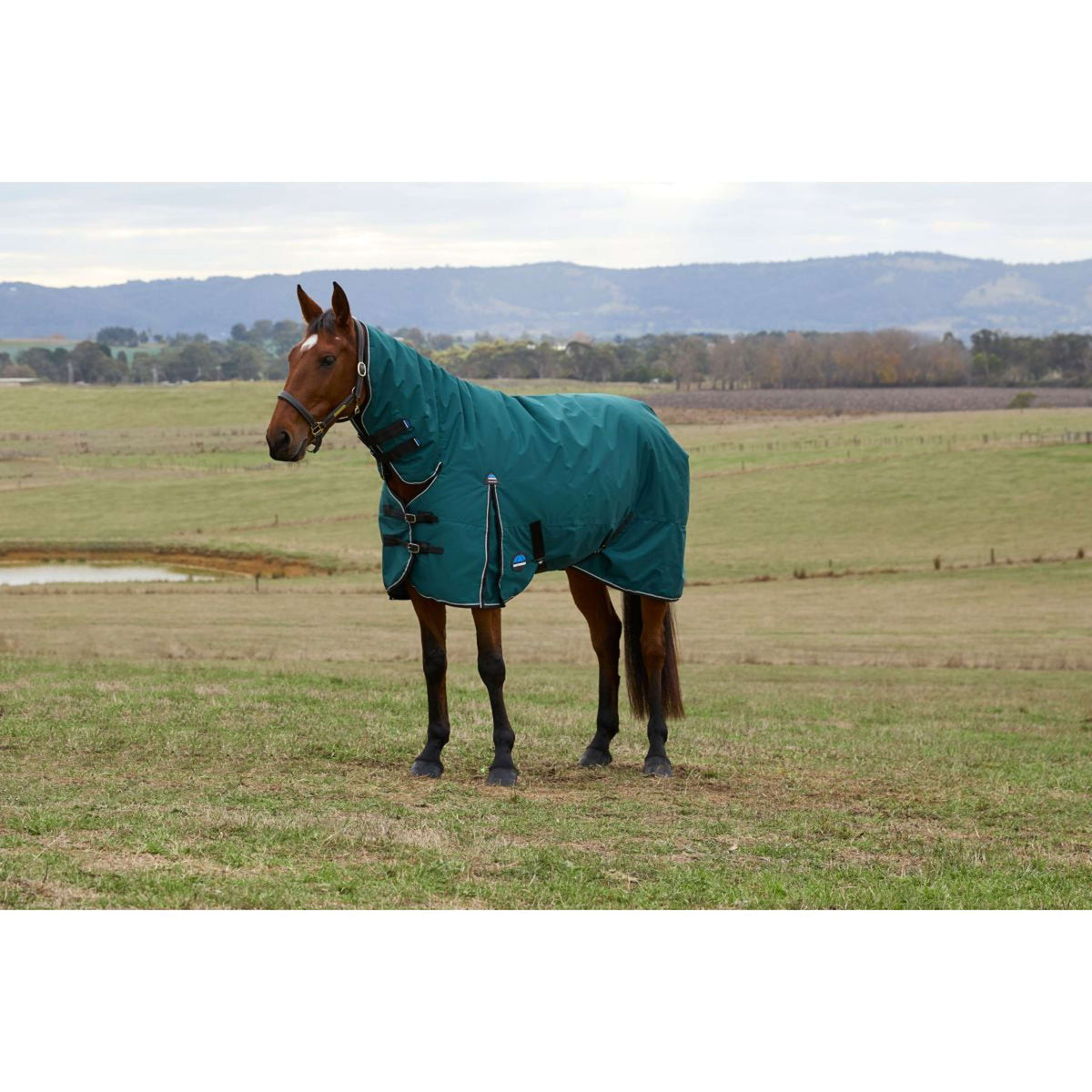 Weatherbeeta Comfitec Classic Turnout Combo 220 g Forest Green/Black
