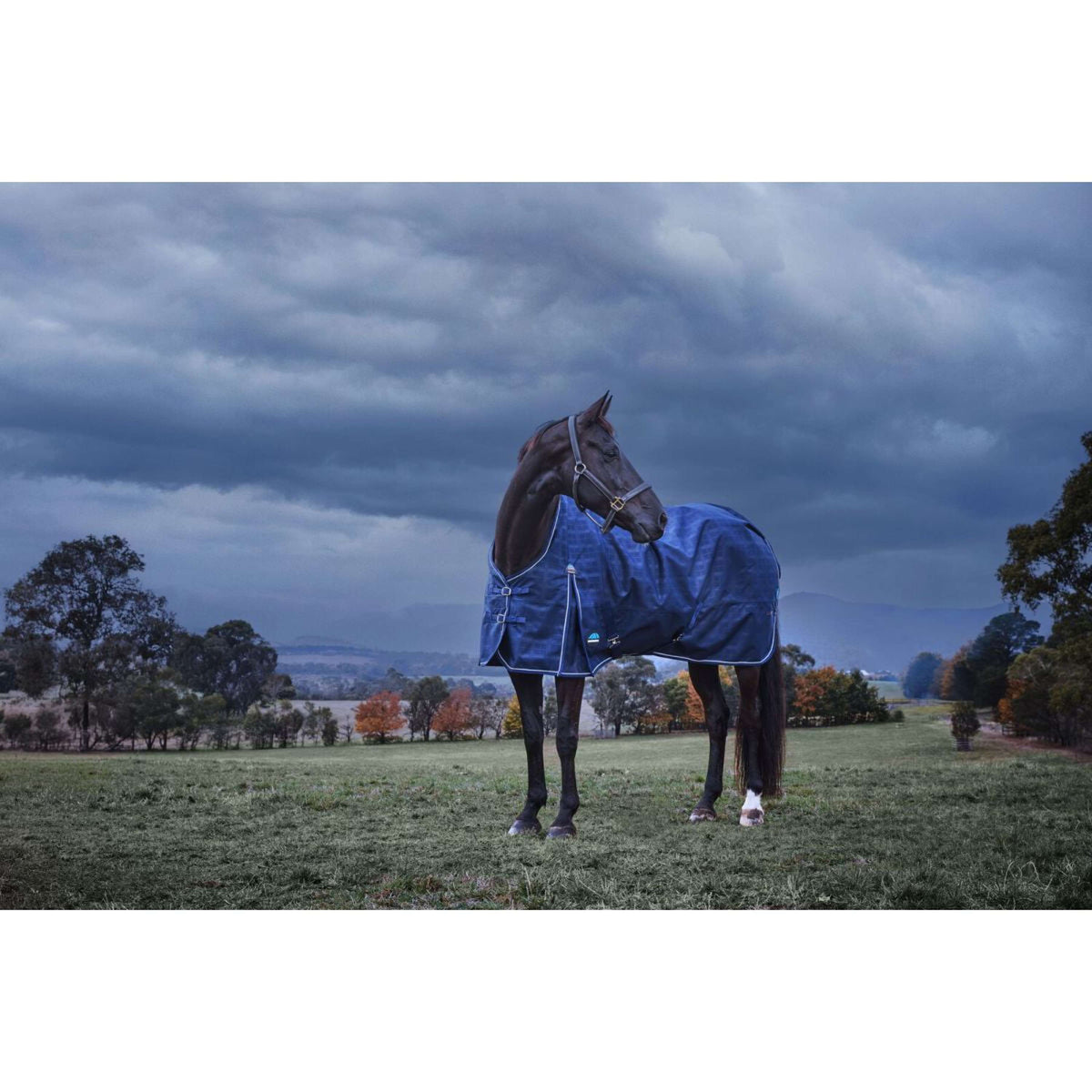 WeatherBeeta ComFiTec Prelim Turnout 220 g Navy Embossed Plaid