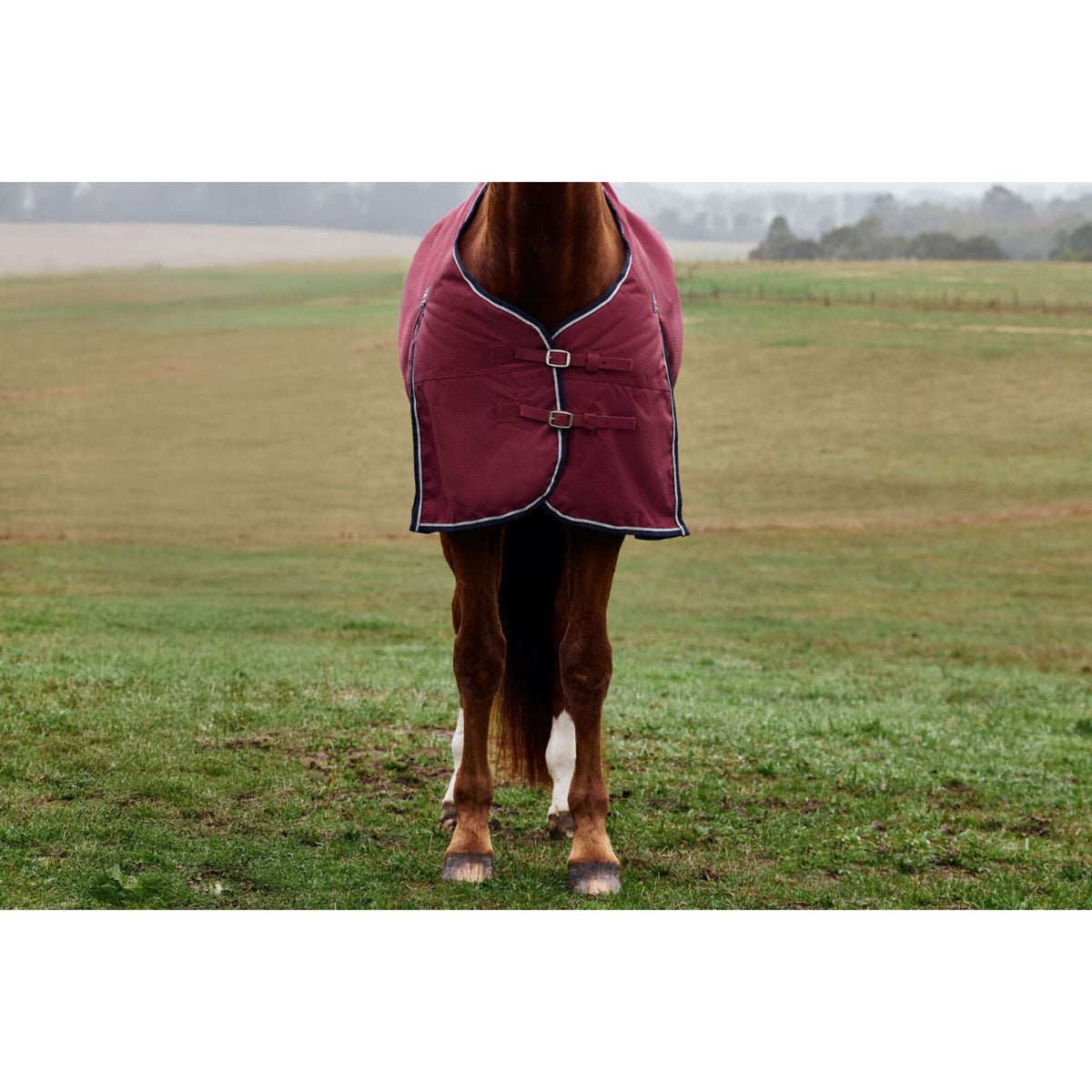 Weatherbeeta Comfitec Prelim Turnout 0g Borgogna/Marina