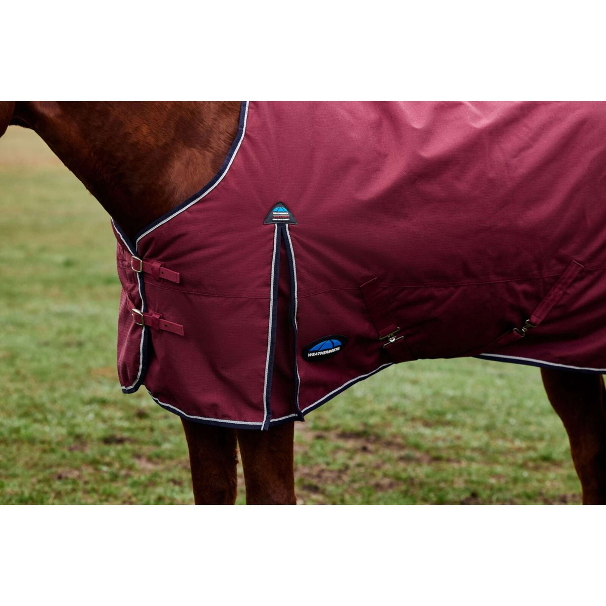 Weatherbeeta Comfitec Prelim Turnout 0g Borgogna/Marina