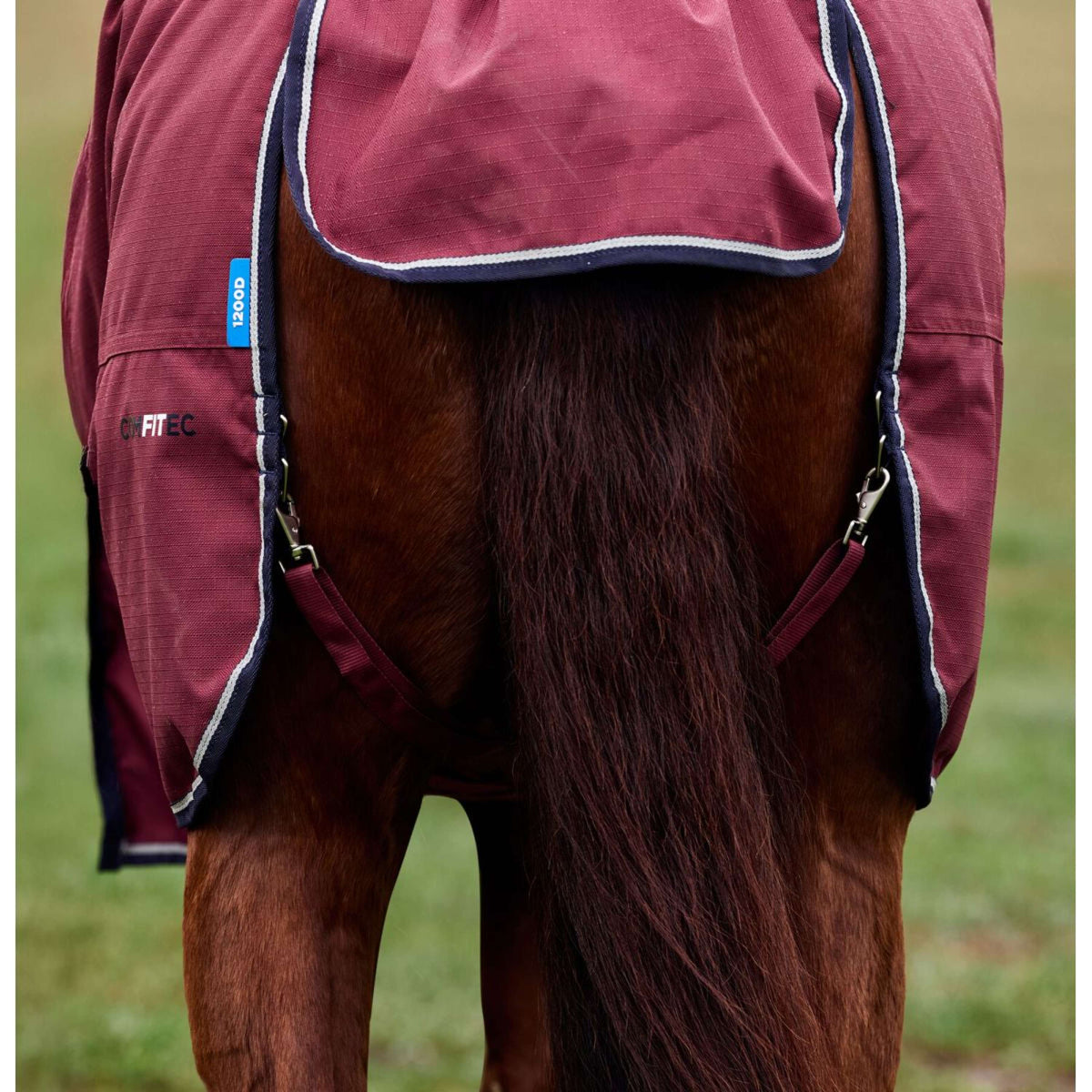 Weatherbeeta Comfitec Prelim Turnout 0g Borgogna/Marina
