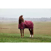 Weatherbeeta Comfitec Prelim Turnout 0g Borgogna/Marina