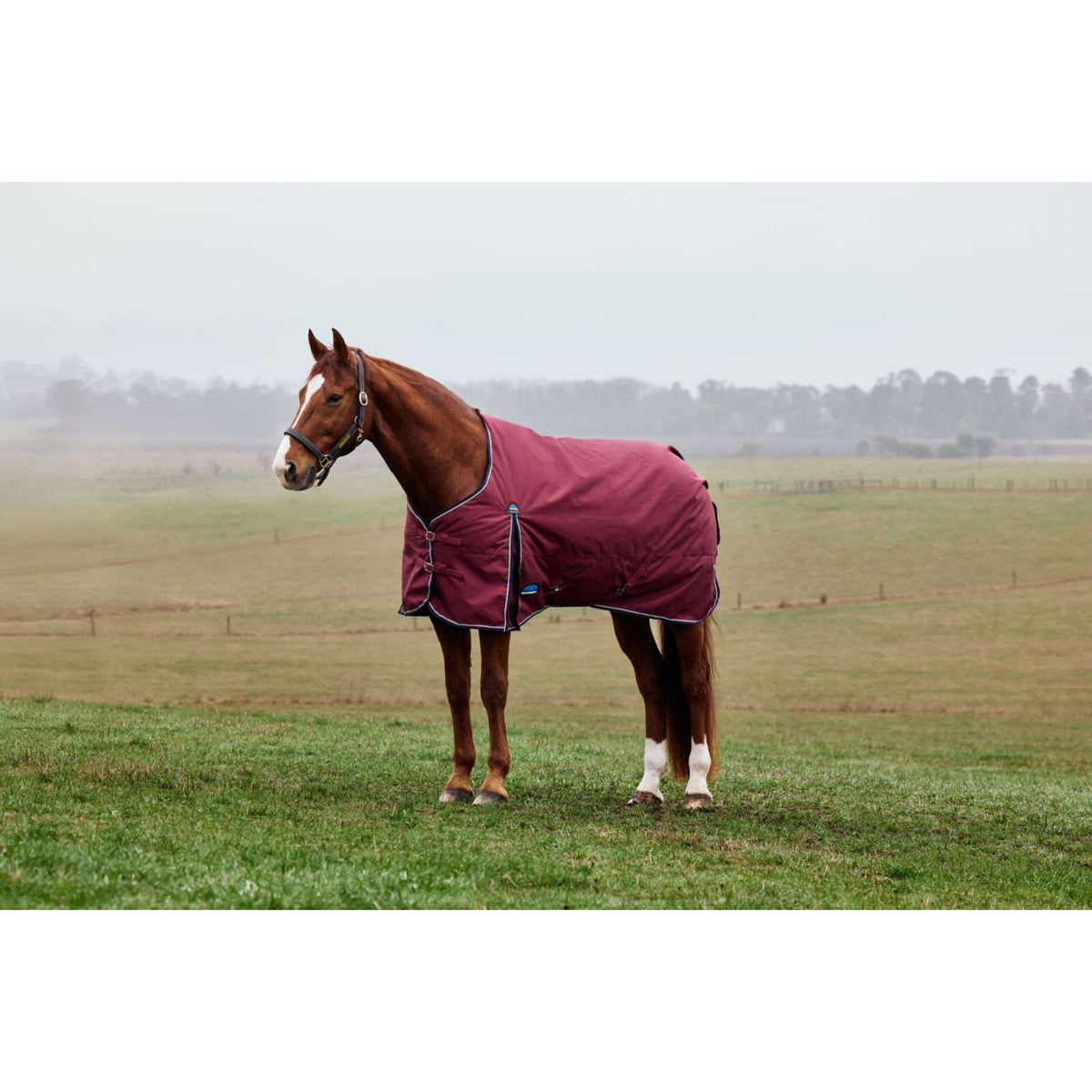 Weatherbeeta Comfitec Prelim Turnout 0g Borgogna/Marina