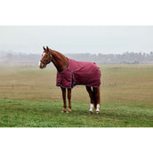 Weatherbeeta Comfitec Prelim Turnout 0g Borgogna/Marina