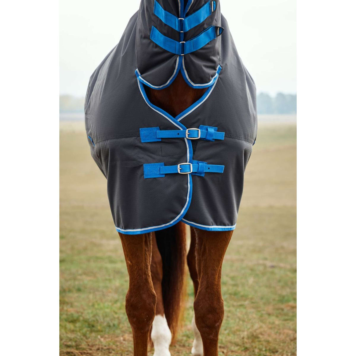 Weatherbeeta Comfitec Tyro Turnout Combo Neck 220 g Nero/Cobalto