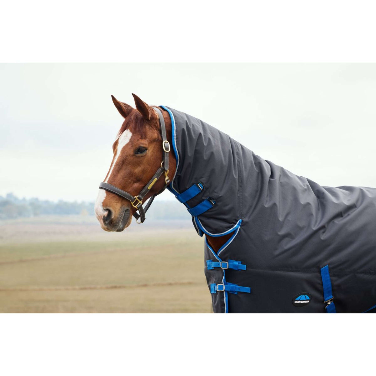 Weatherbeeta Comfitec Tyro Turnout Combo Neck 220 g Nero/Cobalto