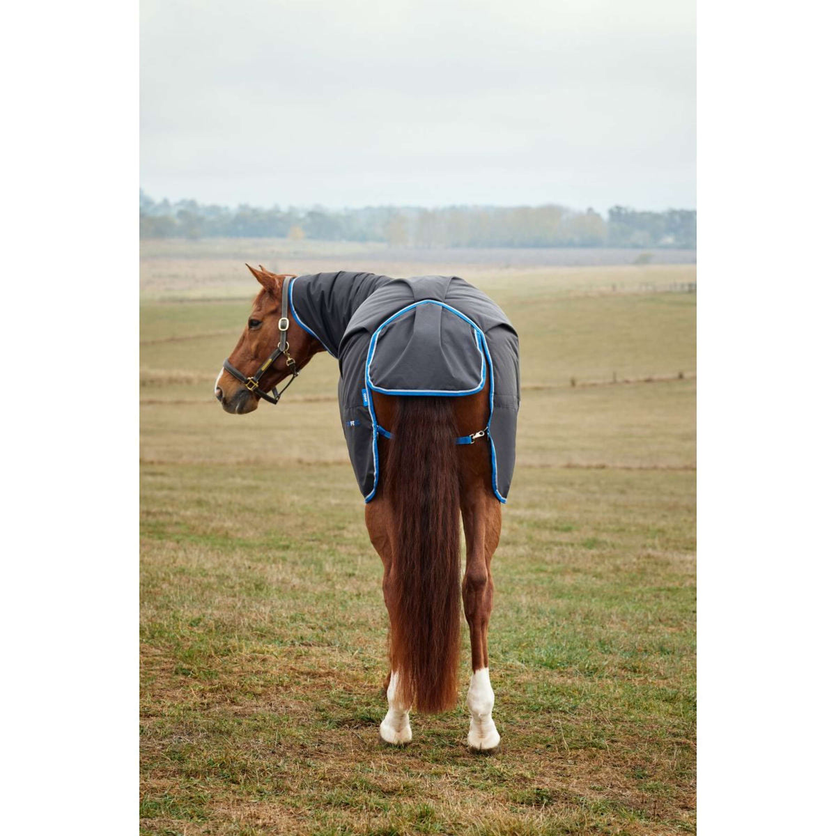 Weatherbeeta Comfitec Tyro Turnout Combo Neck 220 g Nero/Cobalto