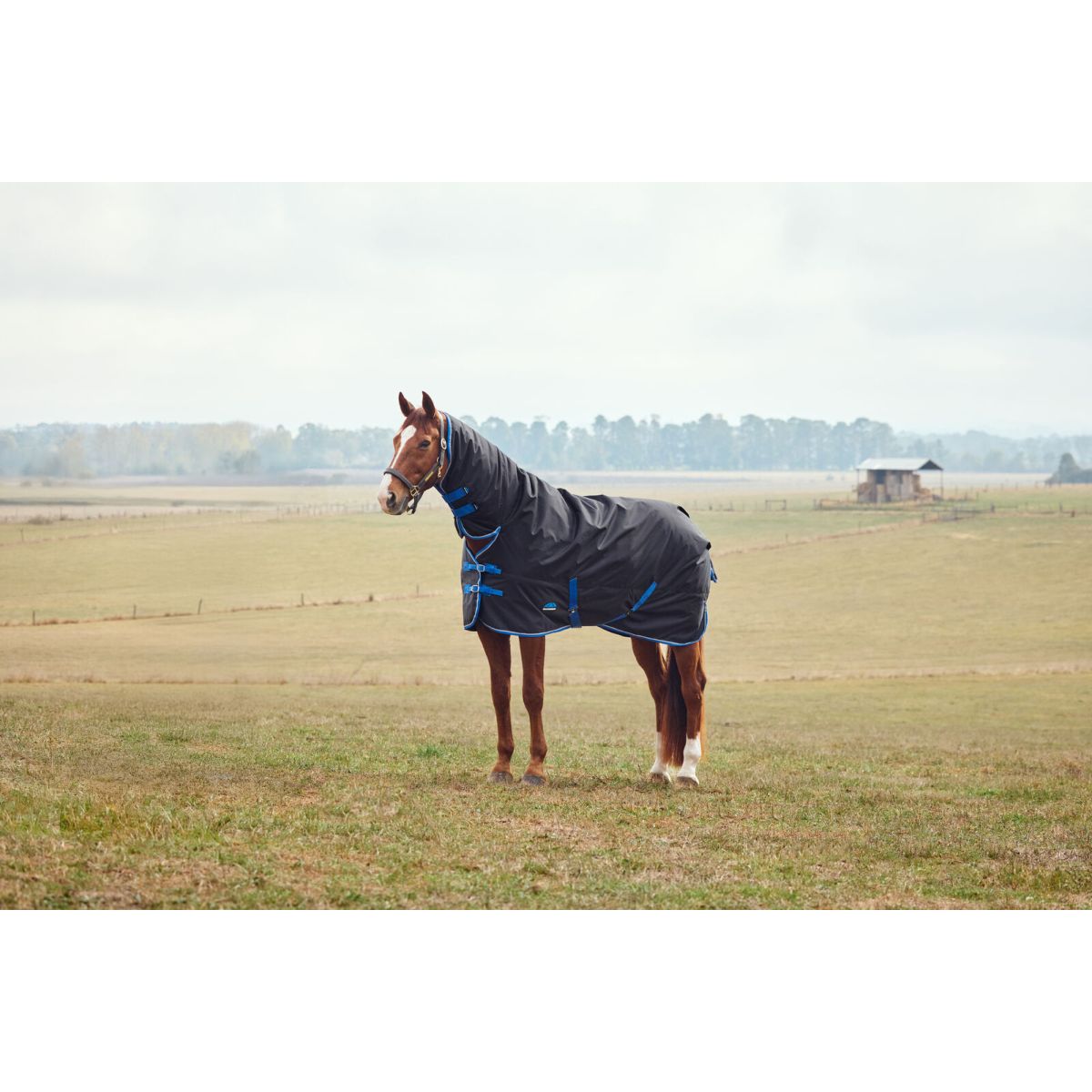 Weatherbeeta Comfitec Tyro Turnout Combo Neck 220 g Nero/Cobalto