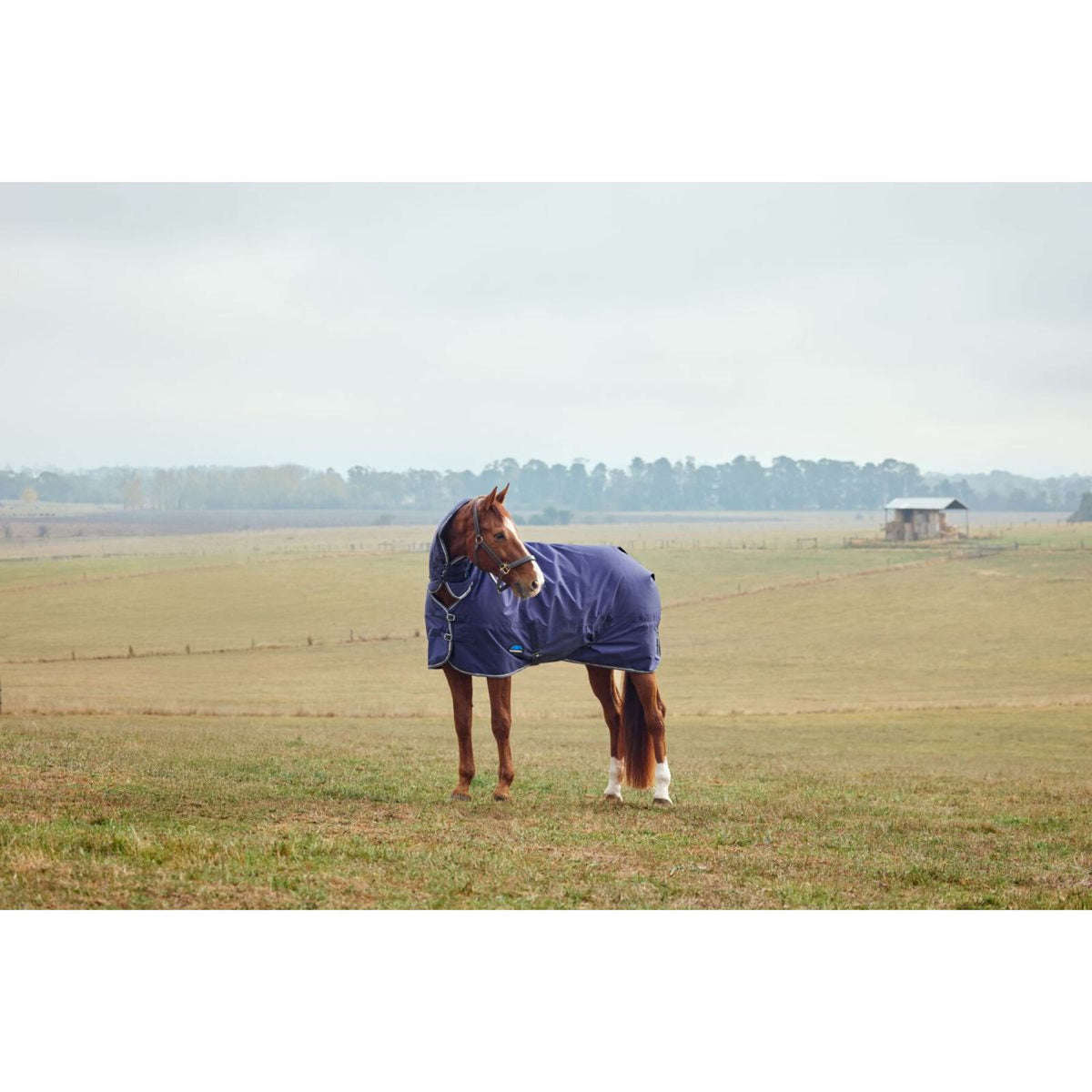 Weatherbeeta Comfitec Tyro Turnout Combo Neck 220 g Blu marino/Carbone
