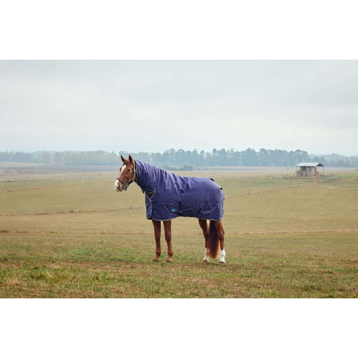 Weatherbeeta Comfitec Tyro Turnout Combo Neck 220 g Blu marino/Carbone