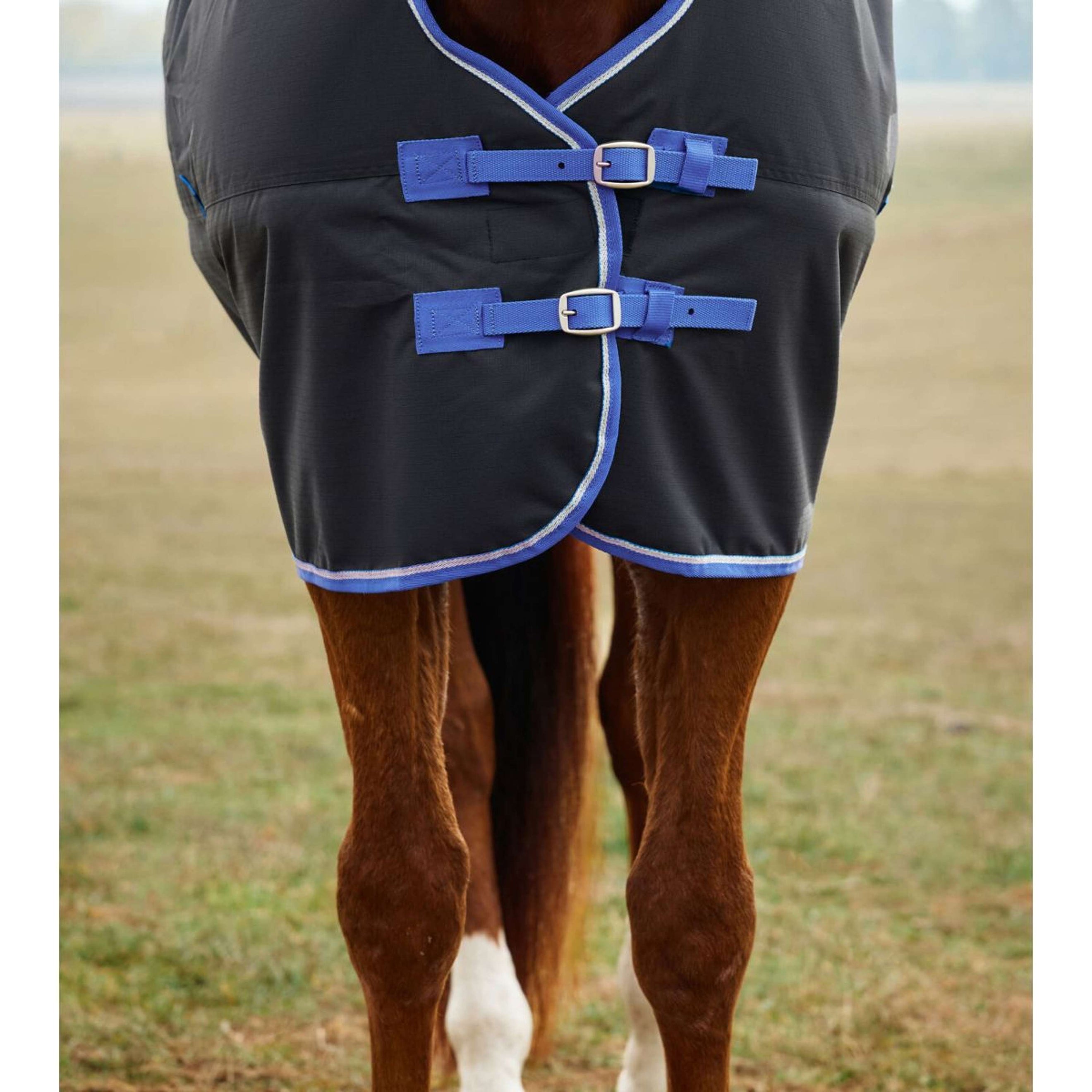 WeatherBeeta ComFiTec Tyro Turnout Standard Neck 220 g Nero/Cobalto WeatherBeeta ComFiTec Tyro Turnout Standard Neck 220 g Nero/Cobalto