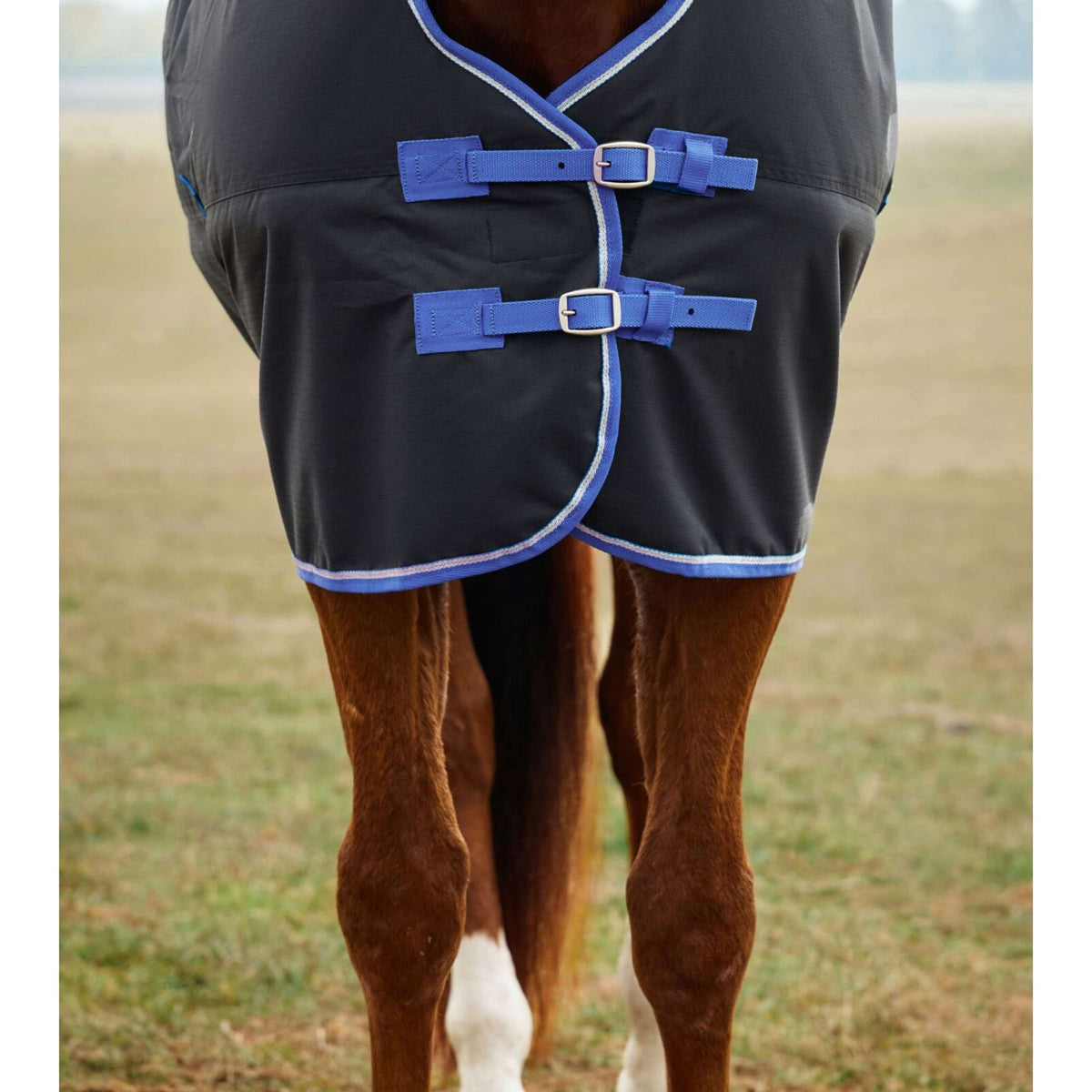 Weatherbeeta Comfitec Tyro Turnout Standard Neck 220 g Nero/Cobalto