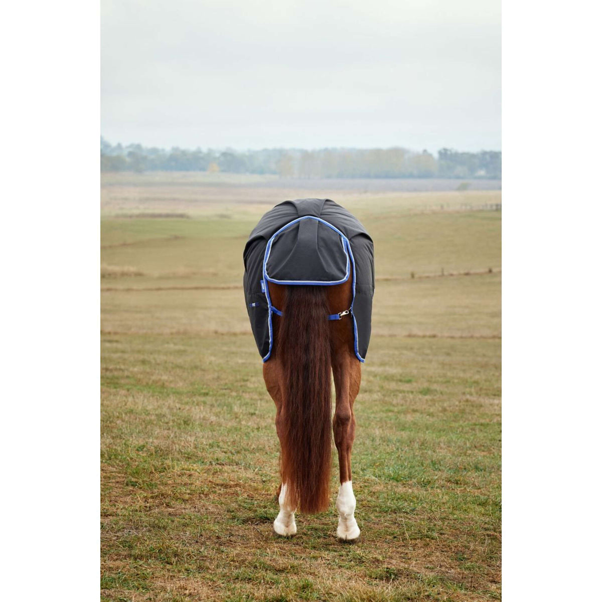Weatherbeeta Comfitec Tyro Turnout Standard Neck 220 g Nero/Cobalto