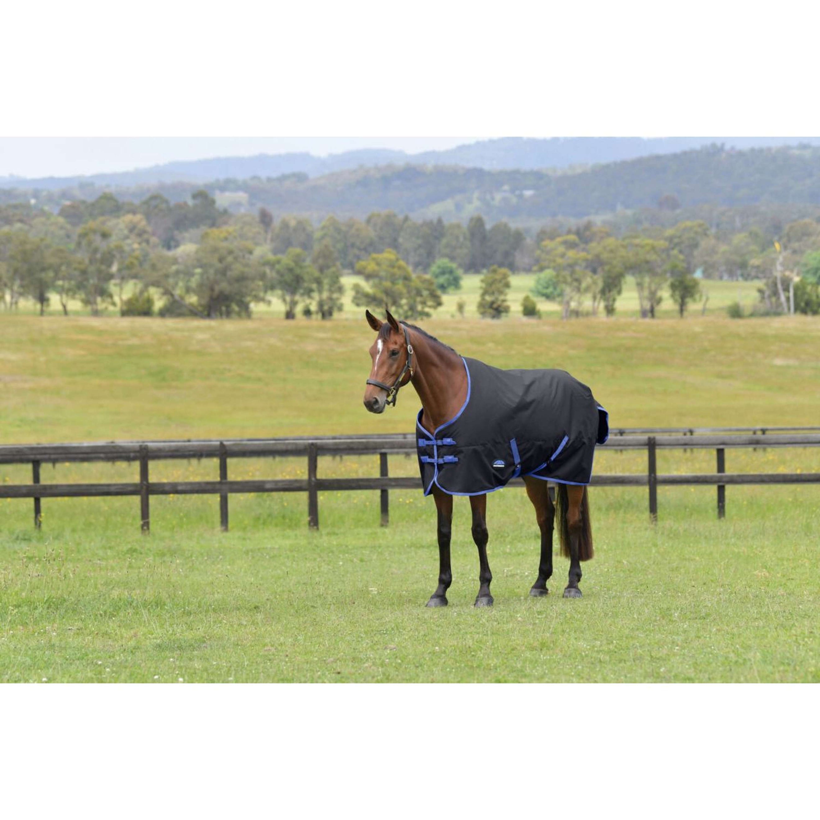 WeatherBeeta ComFiTec Tyro Turnout Standard Neck 220 g Nero/Cobalto