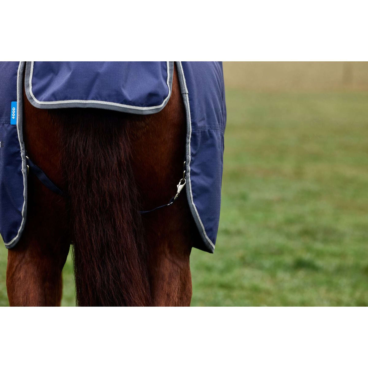 Weatherbeeta Comfitec Tyro Turnout Standard Neck 220 g Blu marino/Carbone