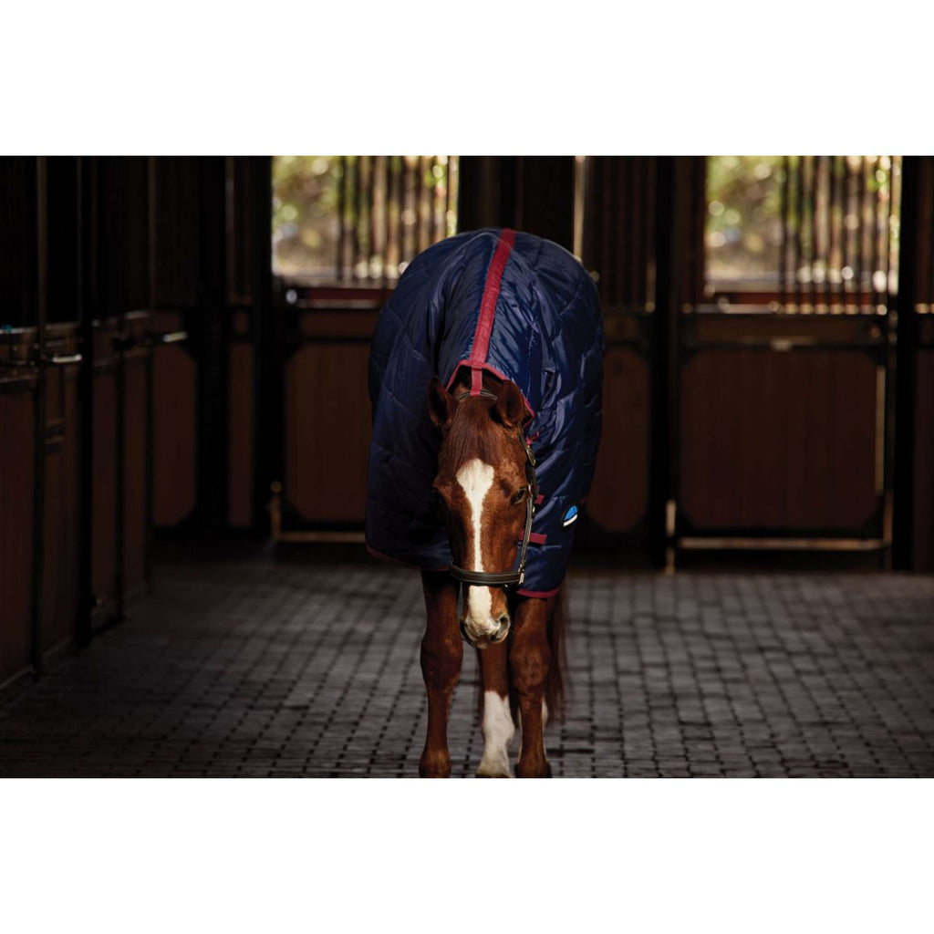 WeatherBeeta Coperta da scuderia ComFiTec 210D Channel Quilt Combo Neck 220 g Navy/Burgundy