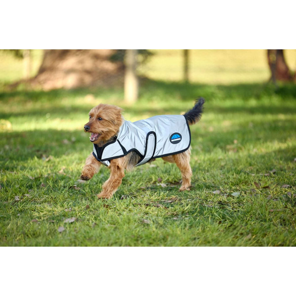 WeatherBeeta Coperta per Cani ComFiTec Reflective Showerproof Argento