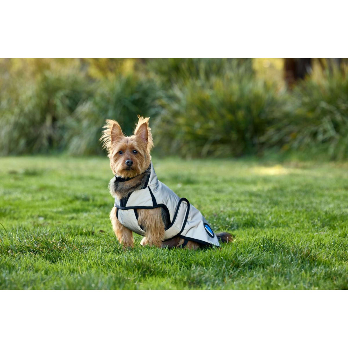 Weatherbeeta Coperta per Cani Comfitec Reflective Showerproof Argento