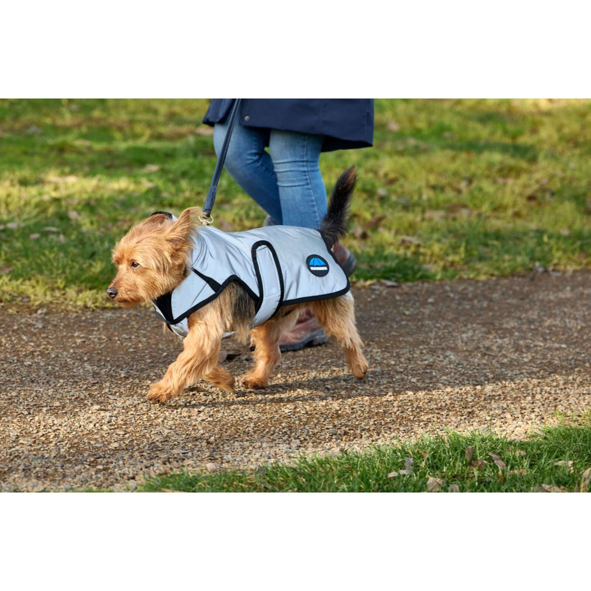 Weatherbeeta Coperta per Cani Comfitec Reflective Showerproof Argento