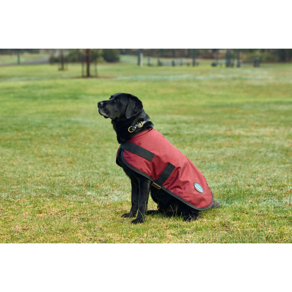 WeatherBeeta Coperta per Cani ComFiTec Classic Waterproof Borgogna