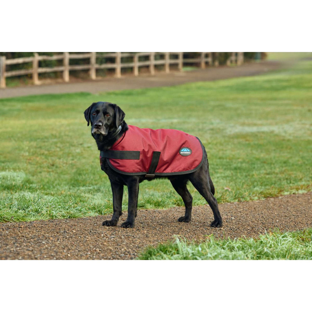 WeatherBeeta Coperta per Cani ComFiTec Classic Waterproof Borgogna