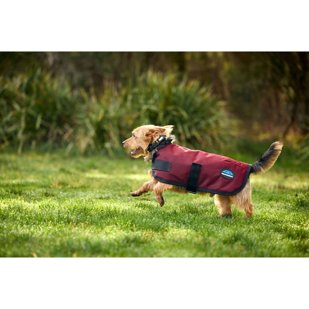 WeatherBeeta Coperta per Cani ComFiTec Classic Waterproof Borgogna