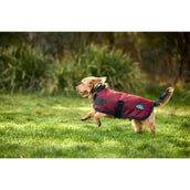 Weatherbeeta Coperta per Cani Comfitec Classic Waterproof Borgogna