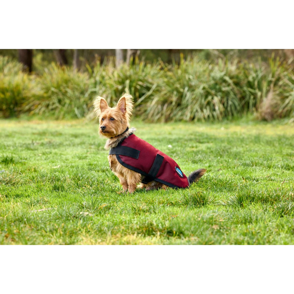 WeatherBeeta Coperta per Cani ComFiTec Classic Waterproof Borgogna