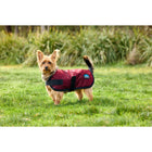 WeatherBeeta Coperta per Cani ComFiTec Classic Waterproof Borgogna