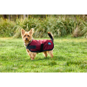 Weatherbeeta Coperta per Cani Comfitec Classic Waterproof Borgogna