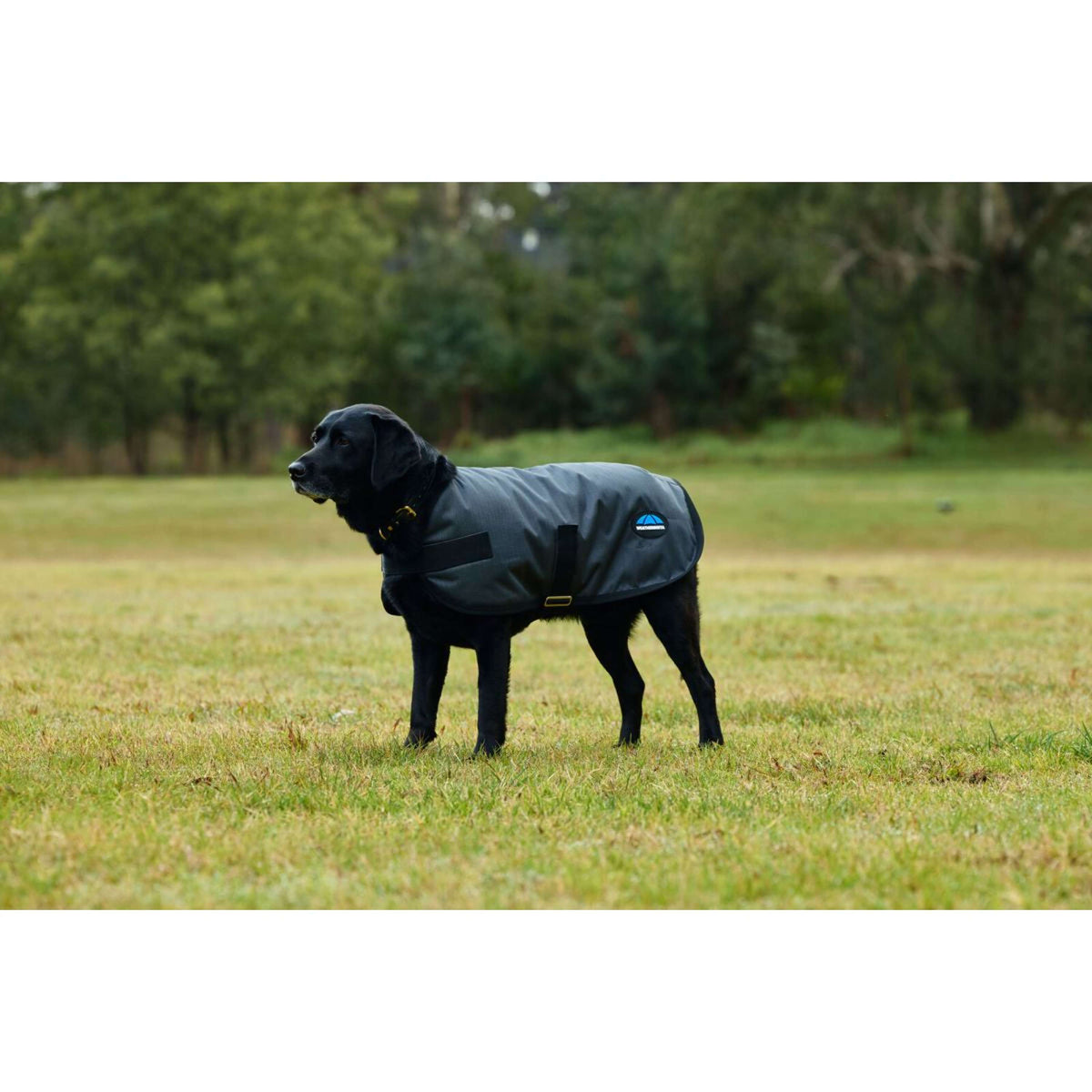 Weatherbeeta Coperta per Cani Comfitec Classic Waterproof Carbone