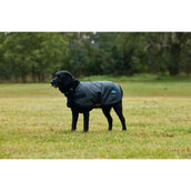 Weatherbeeta Coperta per Cani Comfitec Classic Waterproof Carbone