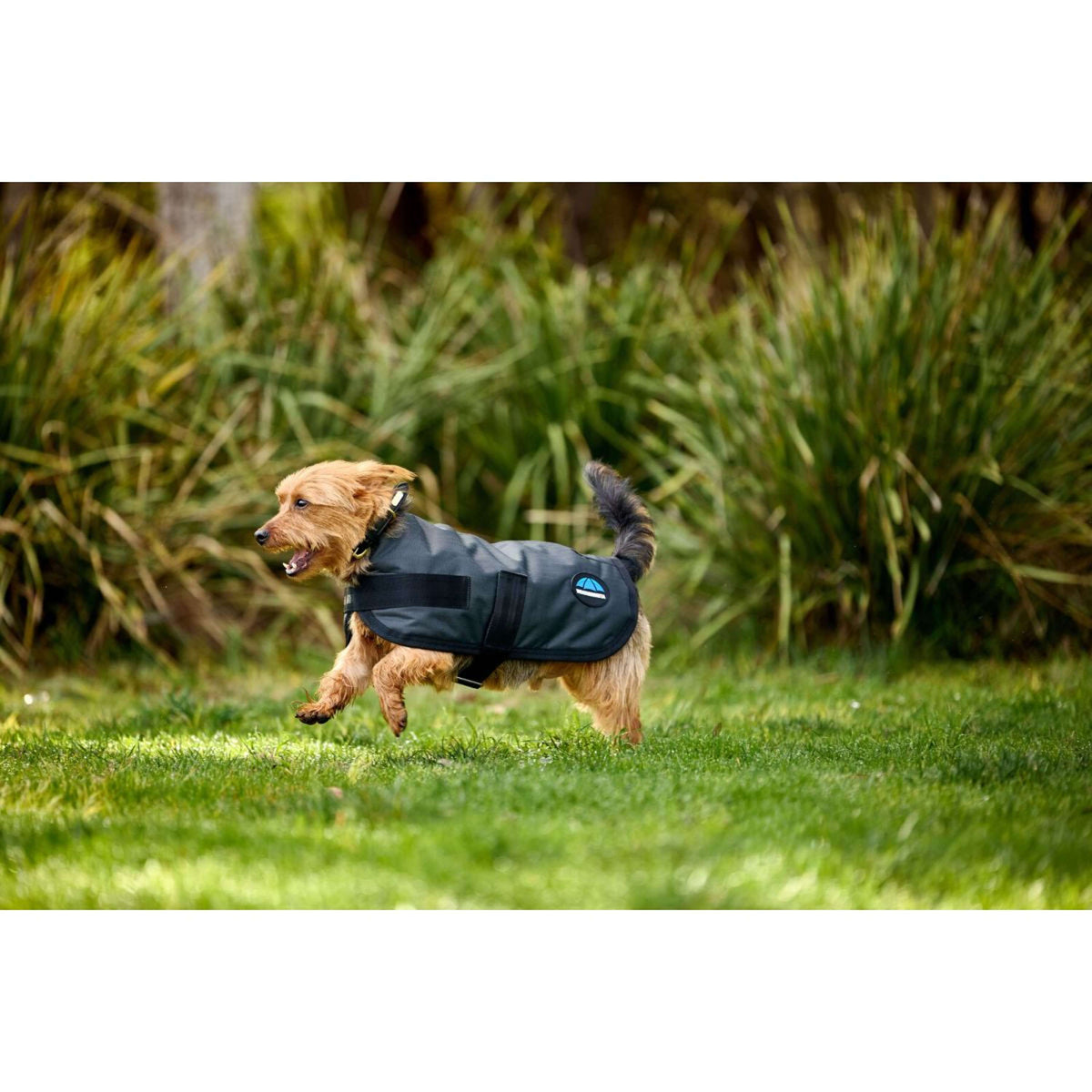 Weatherbeeta Coperta per Cani Comfitec Classic Waterproof Carbone