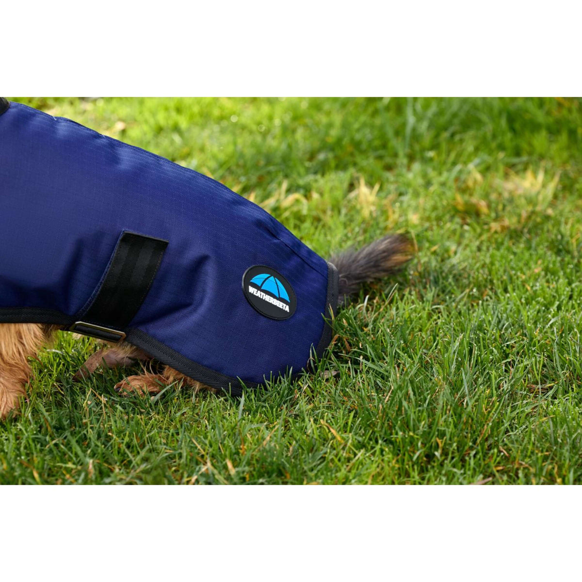 Weatherbeeta Coperta per Cani Comfitec Classic Waterproof Navy
